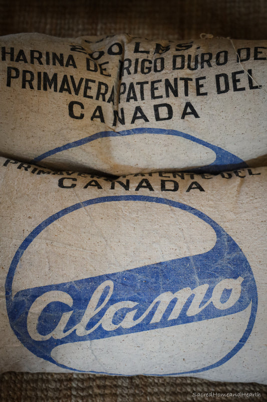 "Alamo" Authentic Vintage Grain Sack Cushion