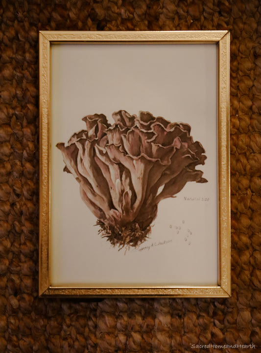 Mushroom Watercolor Print in Vintage Frame