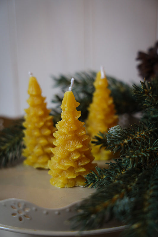 Mini Tree Beeswax Candle