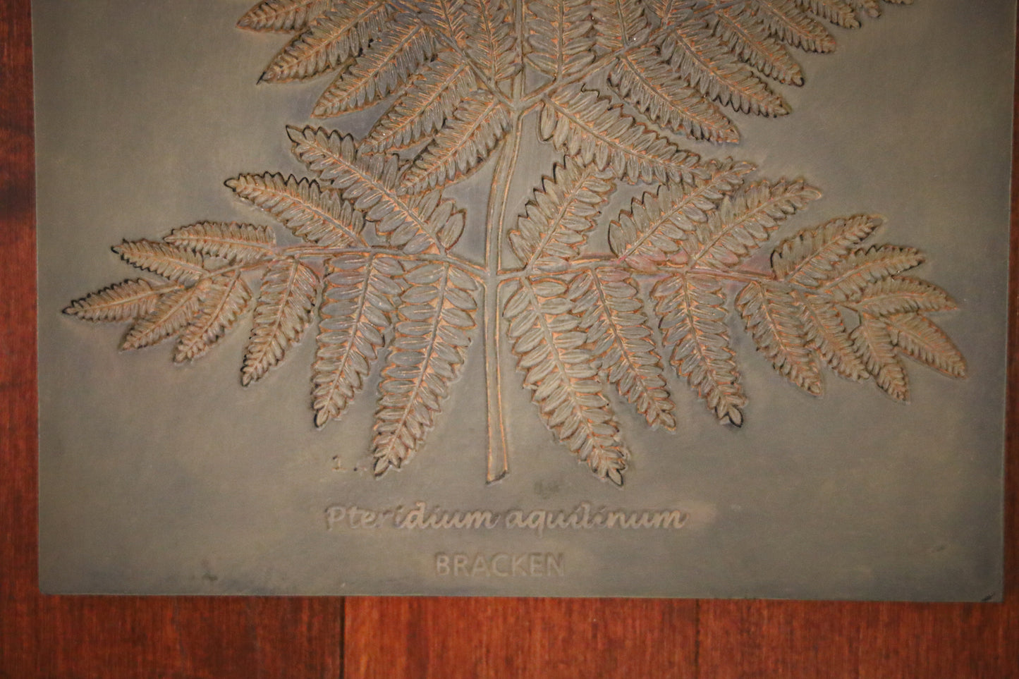 Bracken Fern Print on Clay