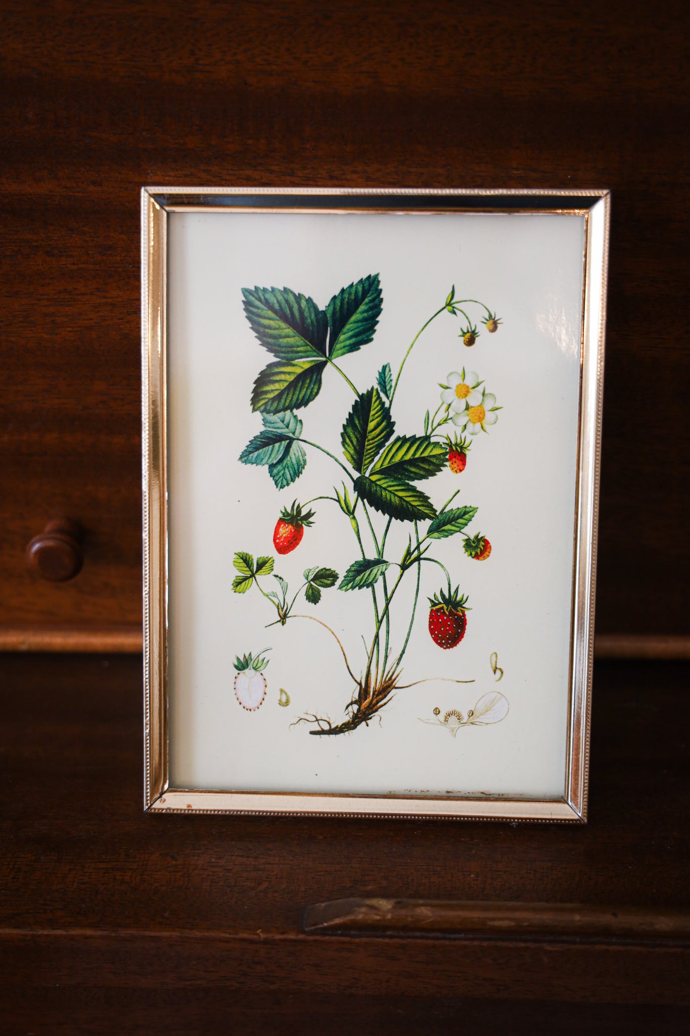 Strawberries Art Replica by Michel Pierre