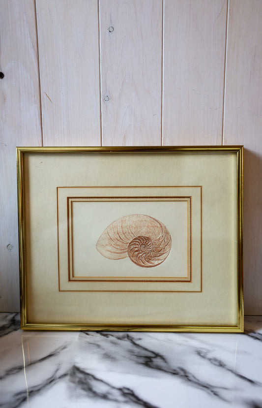 Sea Shell Art Frame