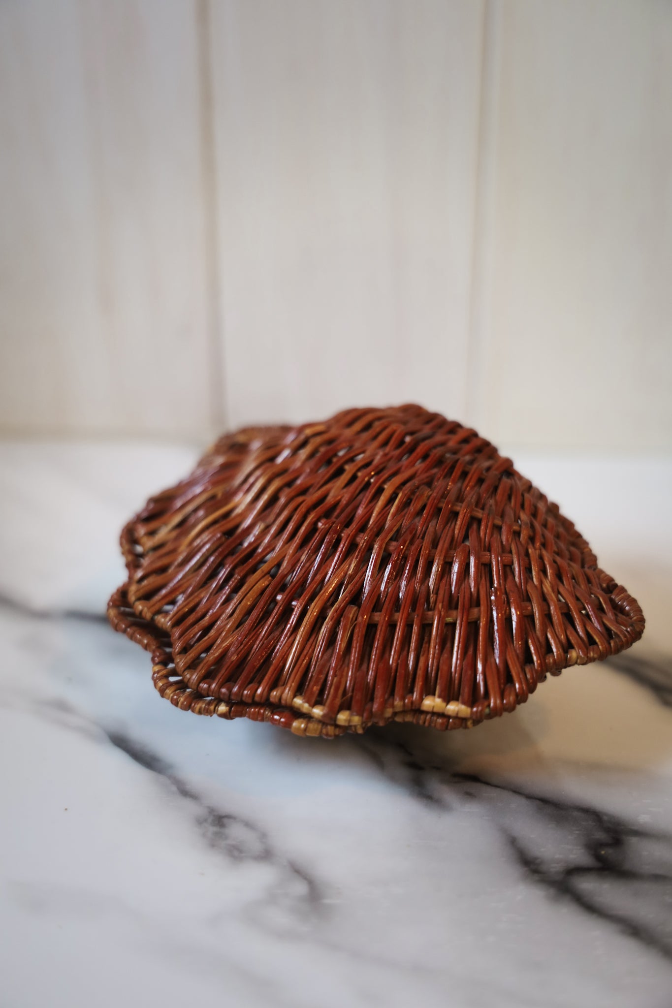 Seashell Basket