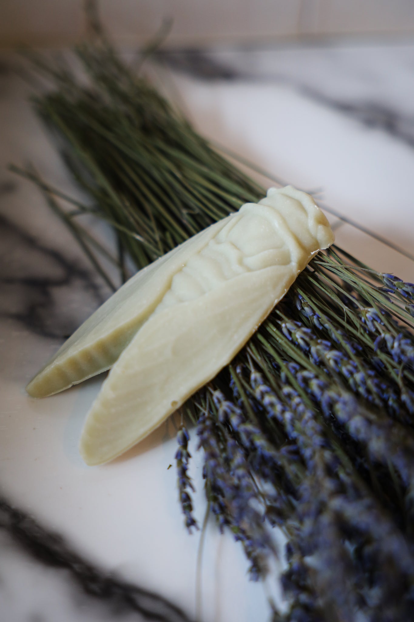 Cicada Soap Bar