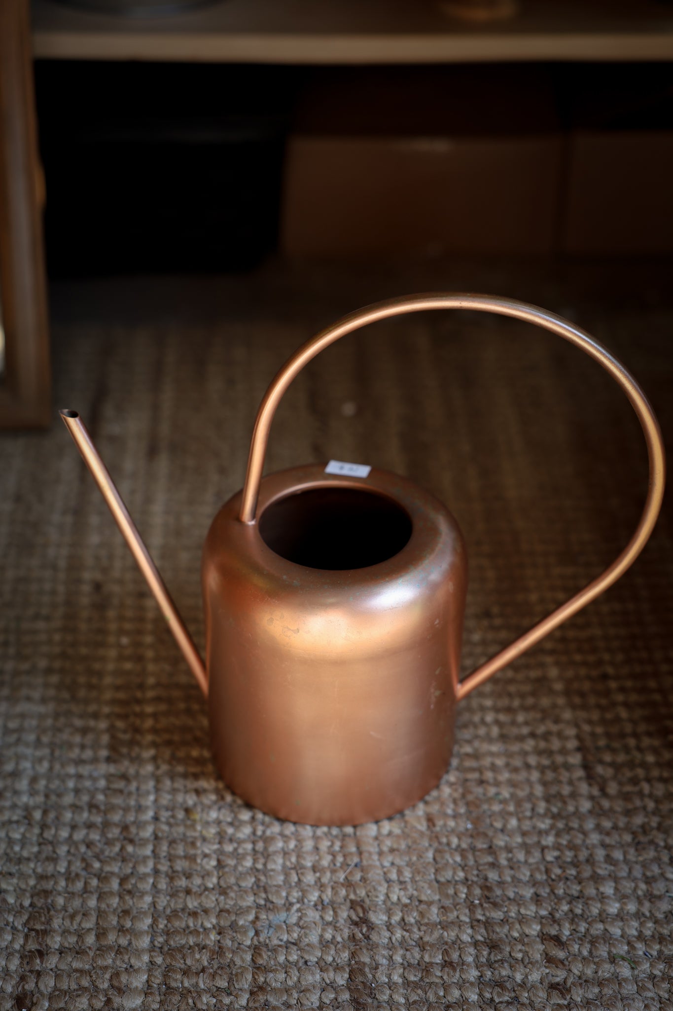 Copper Decorative Watering Can