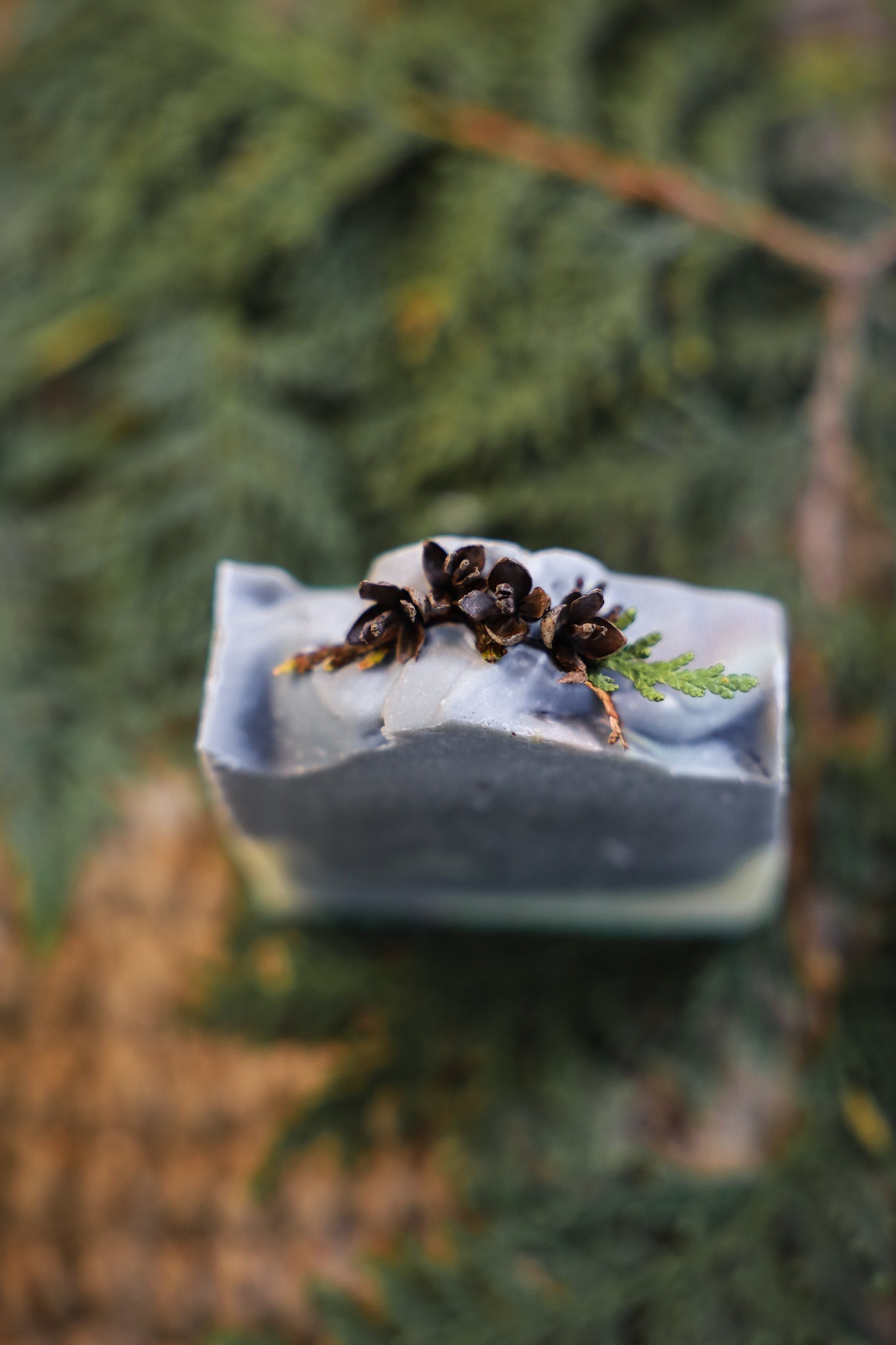 Forest Bathing Soap Bar