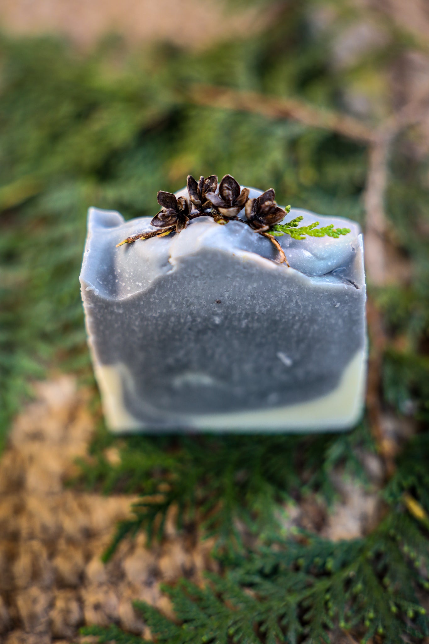 Forest Bathing Soap Bar