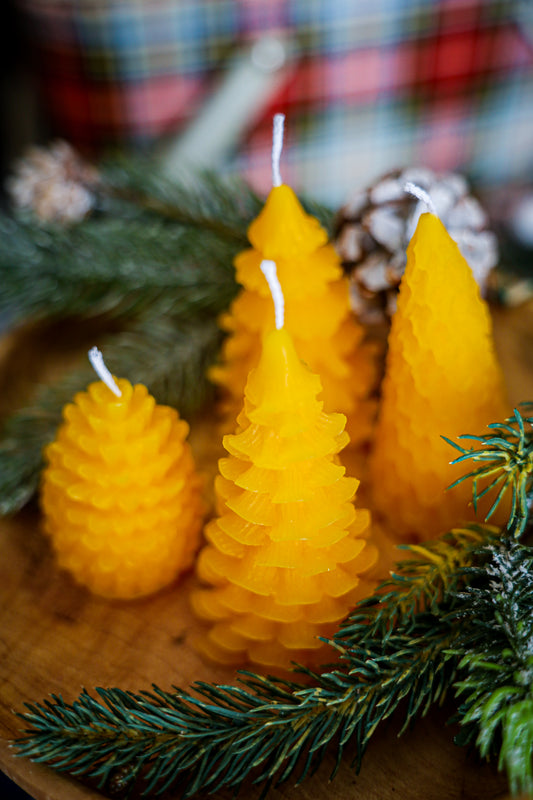 Forest Beeswax Candles Set