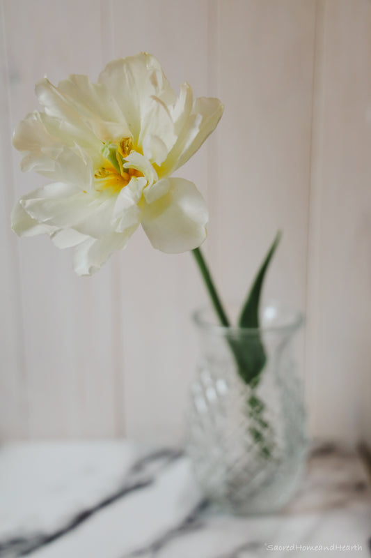 Small Glass flower vase