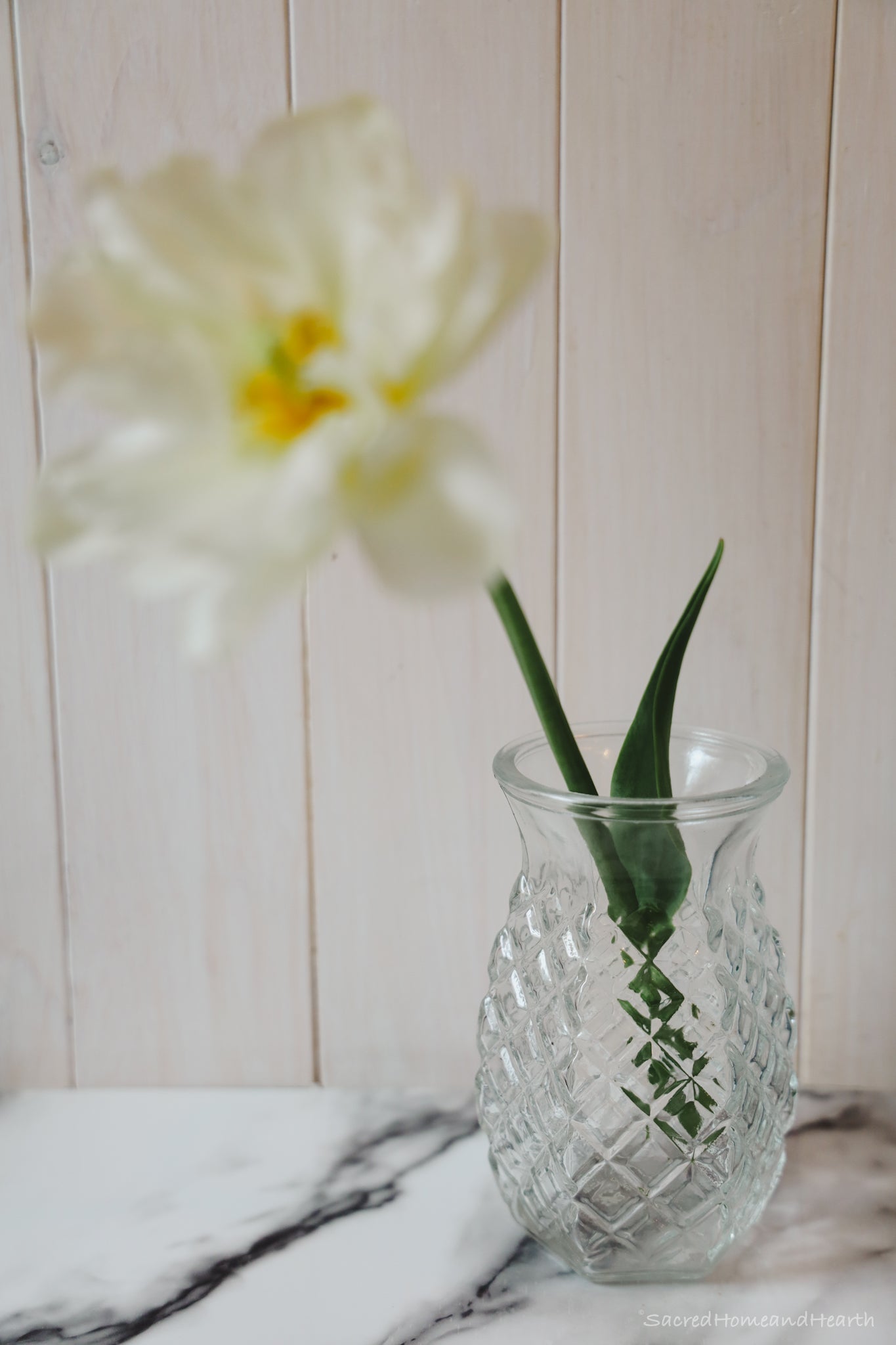 Small Glass flower vase