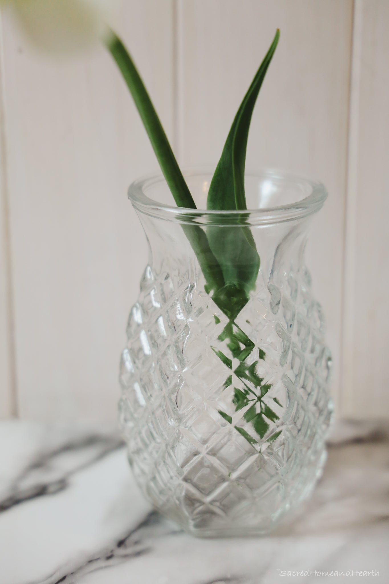 Small Glass flower vase